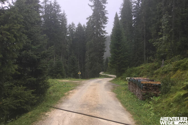 9.40 km - Am Wegweiser links abbiegen vom Fahrweg (&quot;Wolfstall-Angertal&quot;).