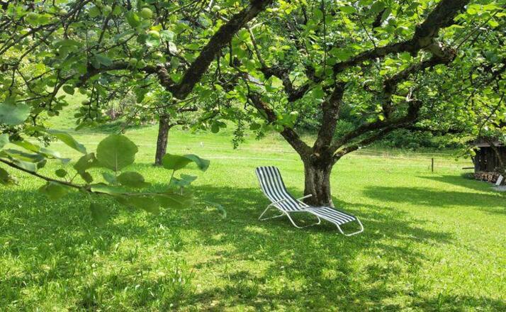 30deee35-31f3-4f70-836c-776c80e34236_2cb4d5eaf6