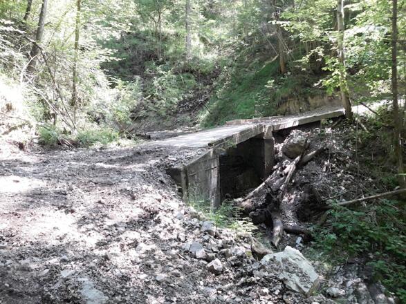 Fahrweg am Beginn zur Einfangalm