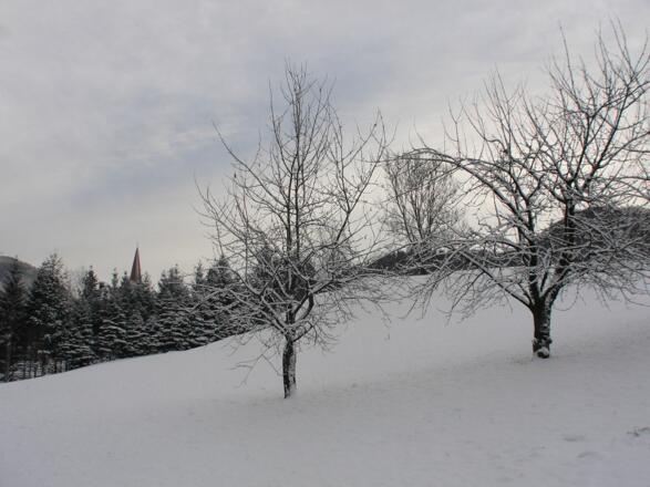 Apartment StNikola W21