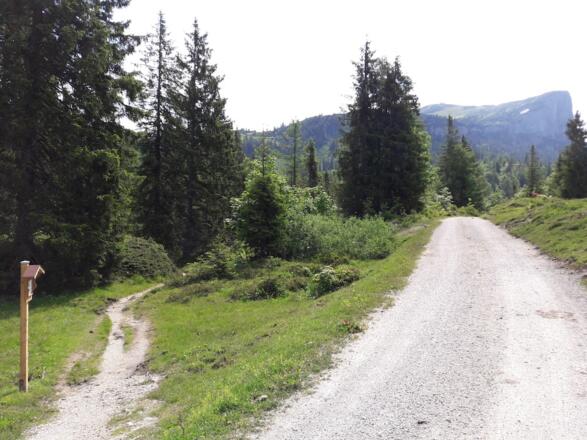 Abzweigung auf den Steig zum Parkplatz Steinplatte