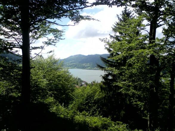 Blick_zum_Mittag_über_den_Großen_Alpsee