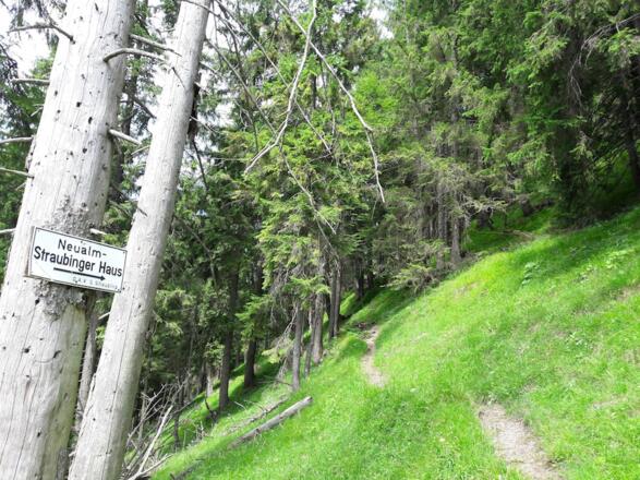 Steig nach der Weißensteinalm