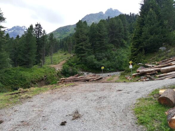 zu einer markanten Kehre, wo gelbe Schilder wieder den Weg weisen. Hier verlässt man die Straße und folgt dem anfangs noch breiten Weg.