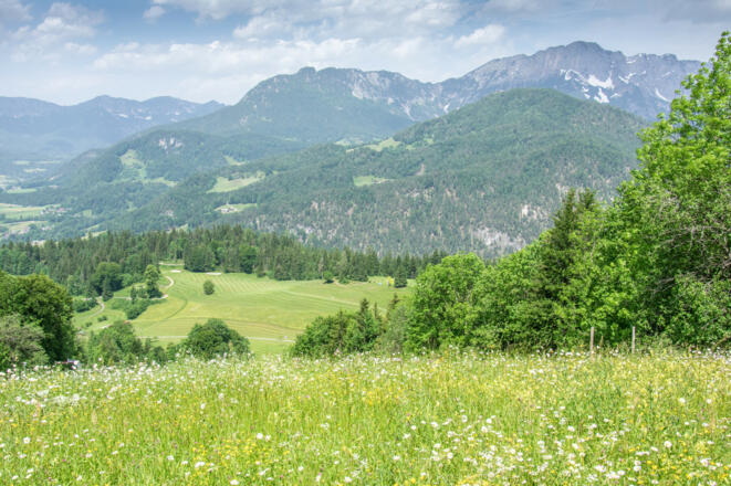Blick vom Kempinski Rundweg über den Golfplatz zum Untersberg