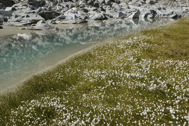 Feuchtbiotop im Weiten Kar