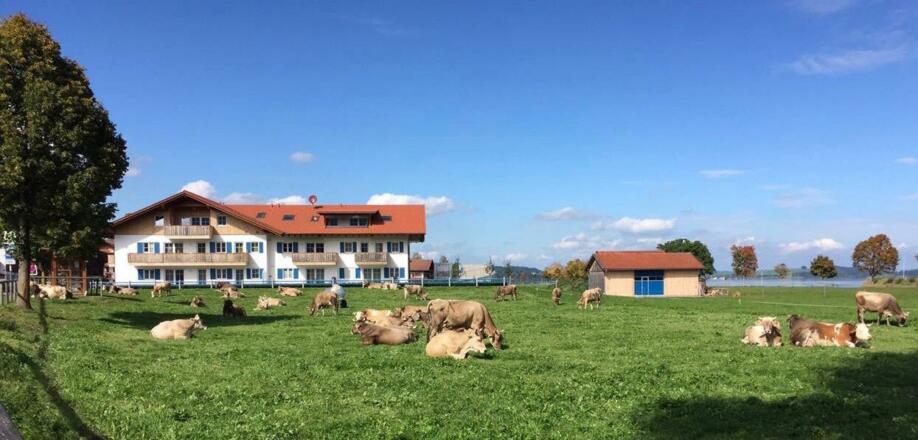 Alpenglück de Luxe, direkt am Forggensee