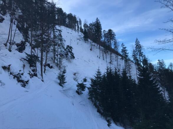 Steiles Waldstück nach der Roßberg-Hütte