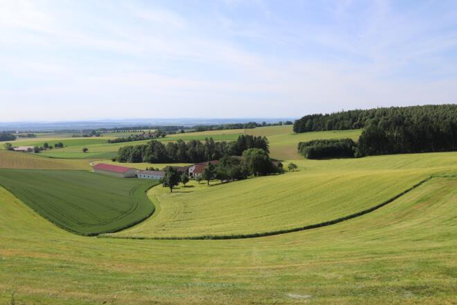 Ausblick Pattenham