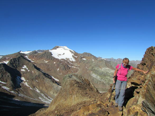 Wilder Freiger aus der Scharte zum Gletscher