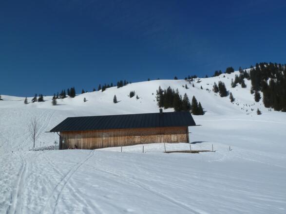 Pfrontner Alpe (1456 m) im Winter