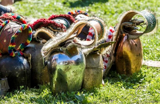 Viehscheid - Almabtrieb im Allgäu