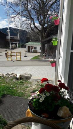 Landhaus Traumblick Sommerfreude