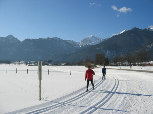 Loip120115_02BreitenstGeigelst