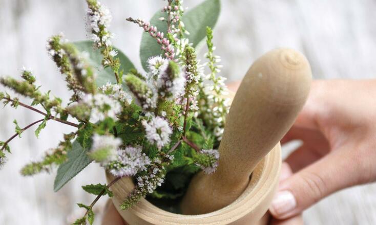 Kräuter aus eigenem Garten