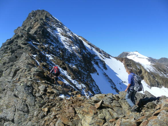 Wilder Freiger aus dem Ostgrat