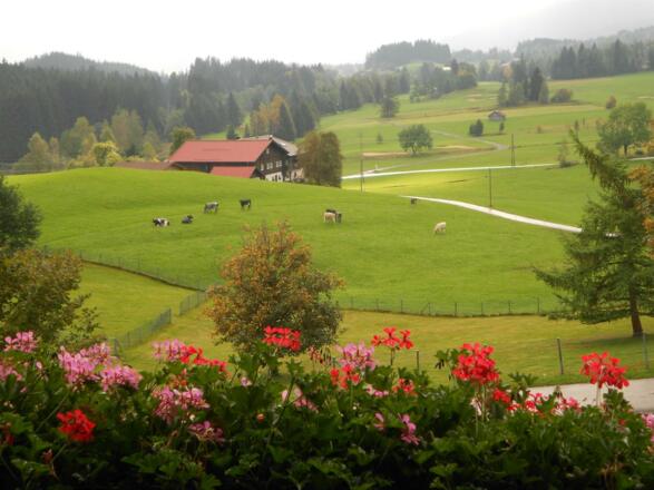 Blick vom Südbalkon