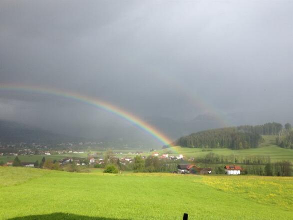 Auf der Sonnenseite des Tals