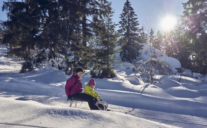 2019-01-19_19012019-Silberberg-im-Winter_Woidlife190119mf040_75074_klein