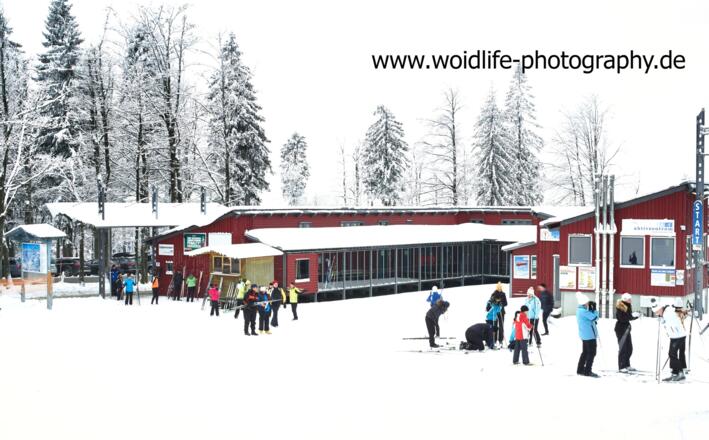 Woidlife311214mf047(1)