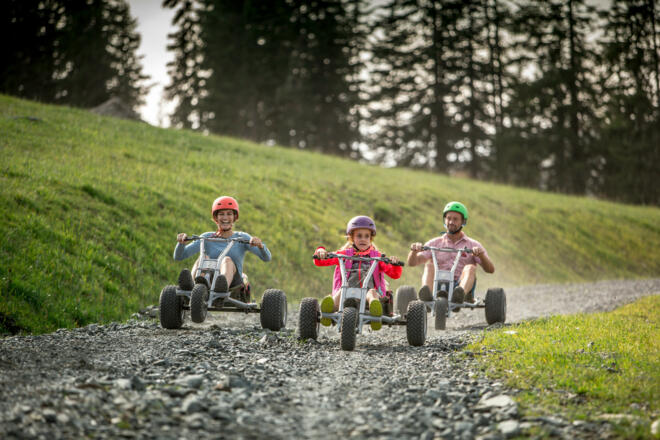 MONSTERROLLER &amp; MOUNTAINCART DOWNHILL