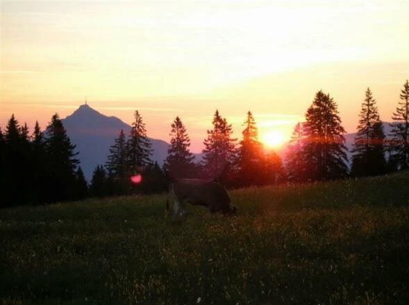 Sonnenuntergang am Ofterschwanger Horn
