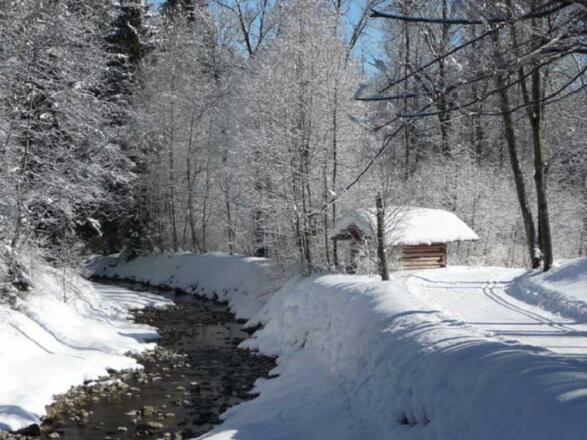 winterlandschaft_huette-960x600