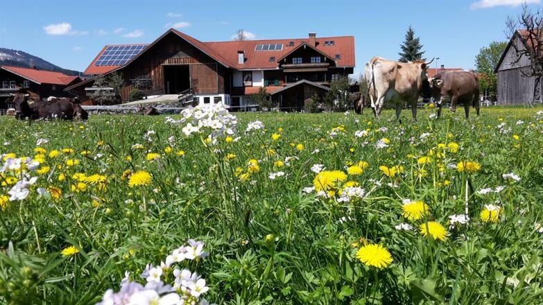 Ruhige Ortsrandlage in Sigishofen