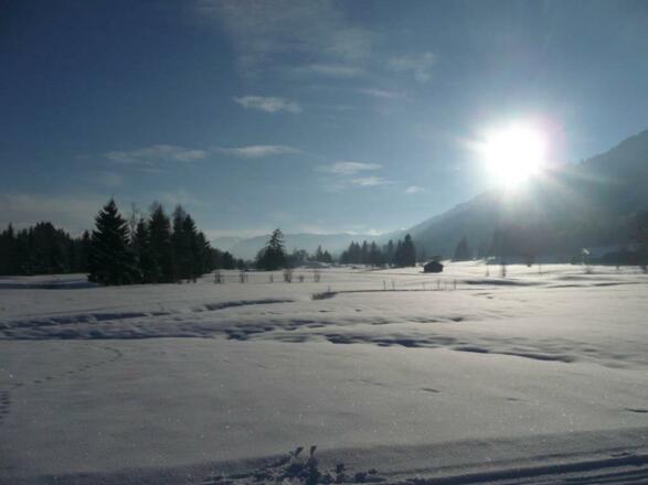 winterlandschaft-960x600