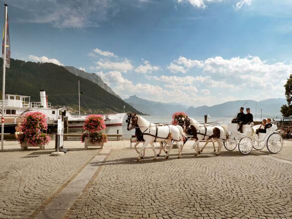 Kutschen– und Gesellschaftsfahrtenfahrten