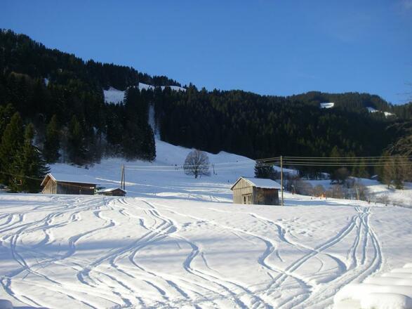 Skiabfahrt ans Haus vom Dorflift