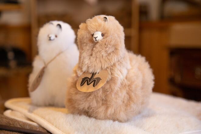 Süße Alpaka-Figuren im Hof von Allgäu Alpaka