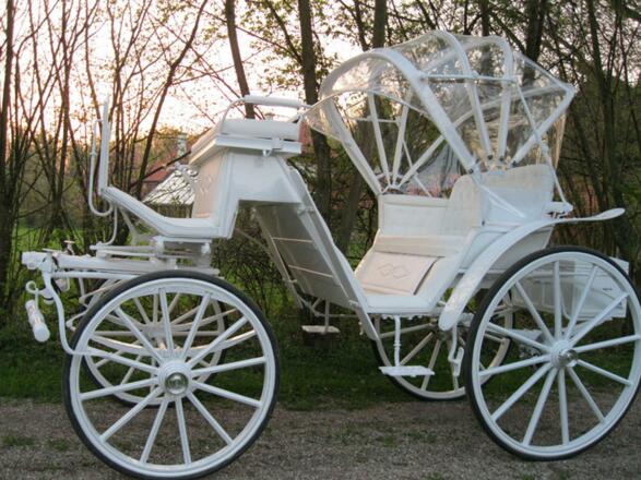 Ausflugsfahrten mit den Salzkammerkutschern