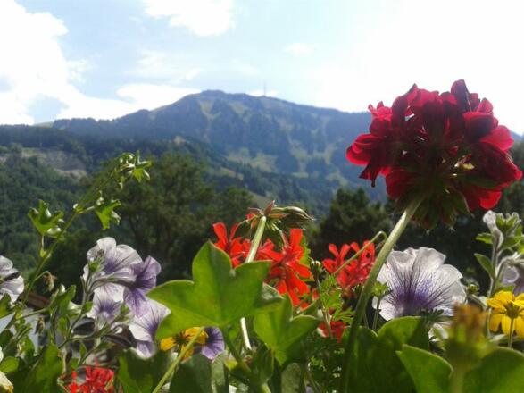 Grünten vom Balkon aus