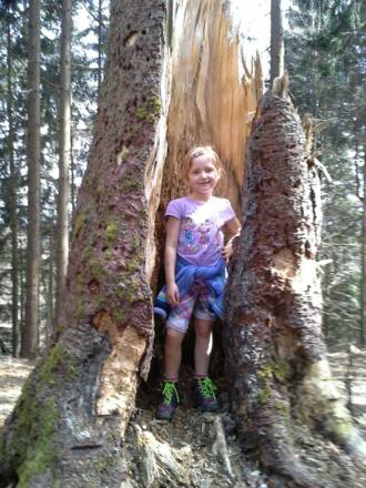 wandern bei Niedersonthofen