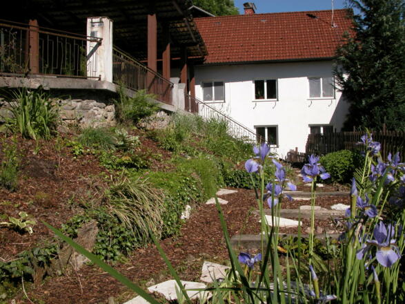 Apartment Comfort-Size Linz