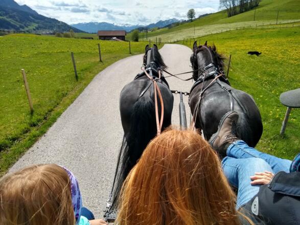 Kutschfahrt mit Heidrun