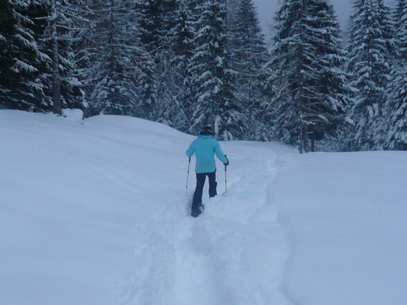 Schneeschuhwanderung im verschneiter Landschaft