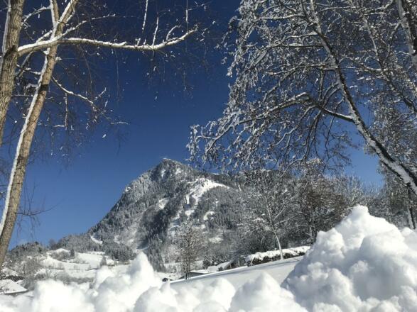 Familienvitalpark Blaichach Burgberg