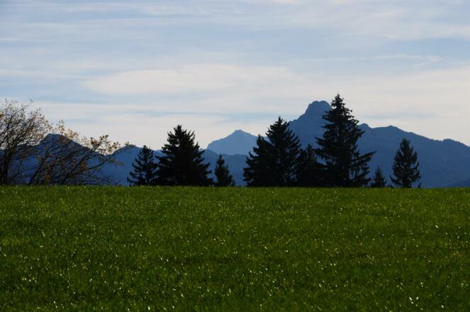 Zugspitze und Säuling
