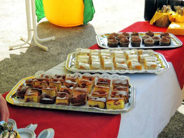 Erfrischung für Hunde