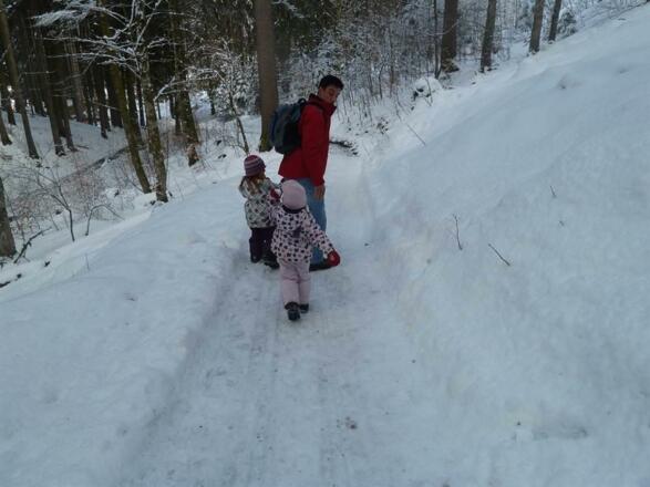Winter in unserem Wald