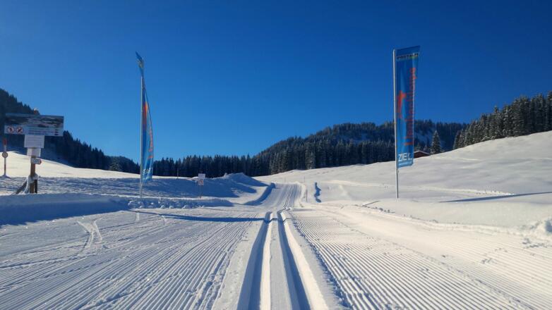 Langlaufen Postalm Lienbachloipe