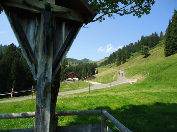 Mit dem Bike ins schöne Bolgental