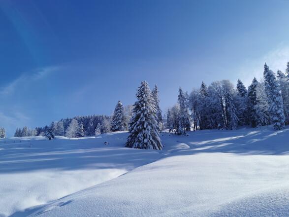 Verschneite Landschaft in Schetteregg