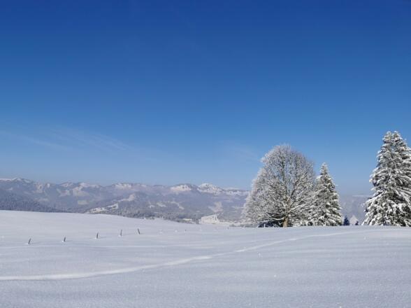 Winterwandern in Schetteregg