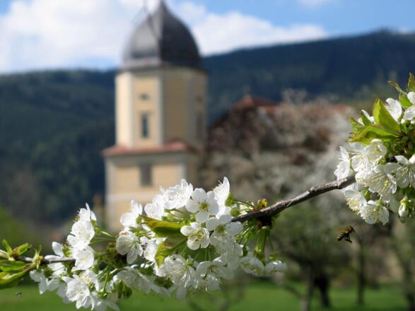 Abtei Seckau im Frühling