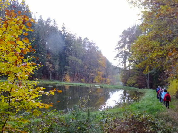 Wanderung vor Birnbaum