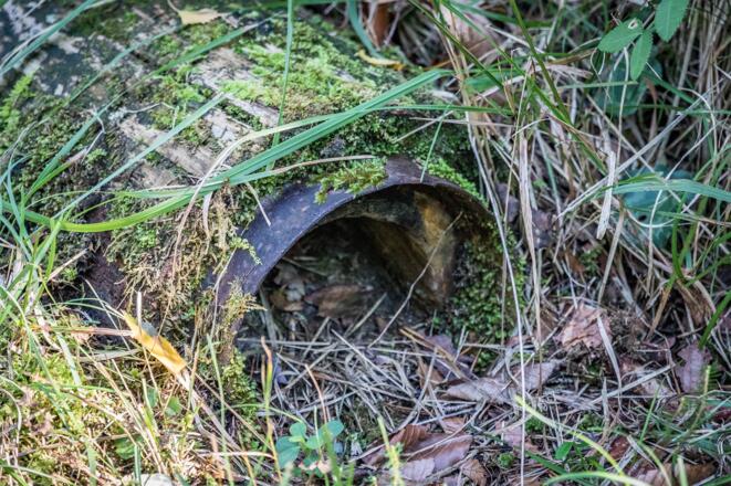Entlang der historischen Soleleitung