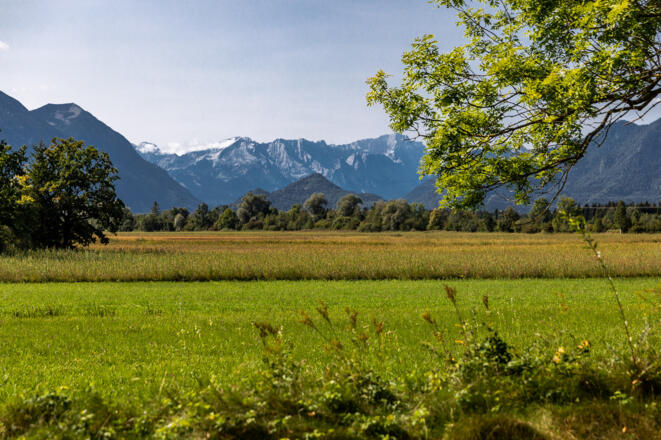 Blick über Moor auf Zugspitzmassiv